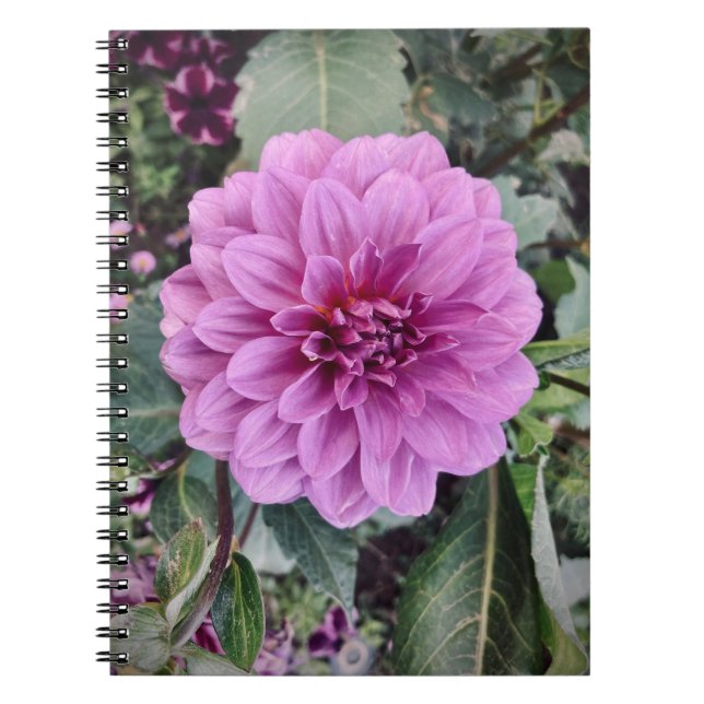 Caderno Espiral Flor Roxo (Frente)