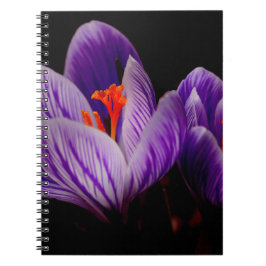 Caderno Espiral Flor Roxo Moderno