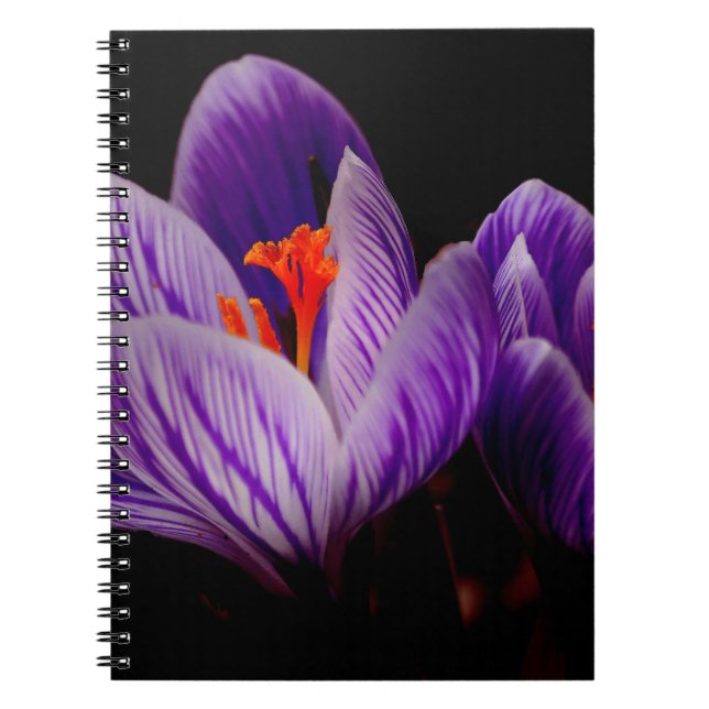 Caderno Espiral Flor Roxo Moderno (Frente)