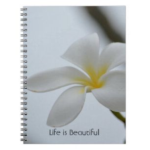 Caderno Espiral Flor Tropical Plumeria Kauai (minha fotografia)