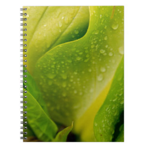 Caderno Espiral Flora Dominica 3