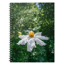 Caderno Espiral Floração Delicada da Luz da Floresta