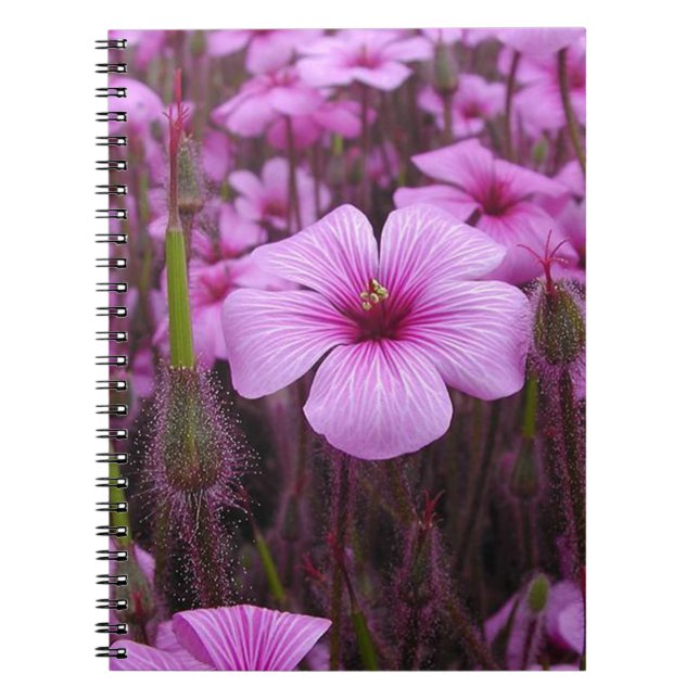 Caderno Espiral Floral bonito (Frente)