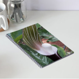 Caderno Espiral Floral da Planta Jack-in-the-Pulpit