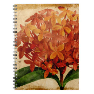 Caderno Espiral Floral III vibrante