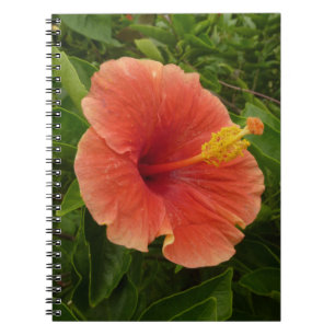 Caderno Espiral Floral Tropical de Laranja Hibiscus