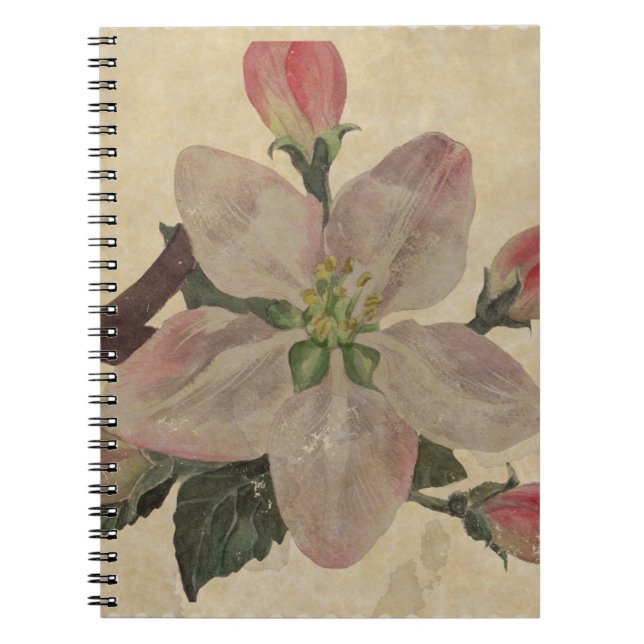 Caderno Espiral Floral:Vintage (Frente)