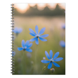 Caderno Espiral Flores Azuis em Prado