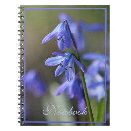 Caderno Espiral Flores Blue Scilla siberica (Wood Squill)