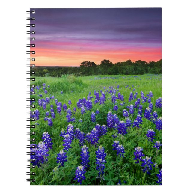 Caderno Espiral Flores | Bluetooth no Texas Sunset (Frente)