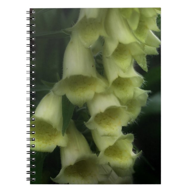 Caderno Espiral Flores Brancas de Foxglove (Frente)