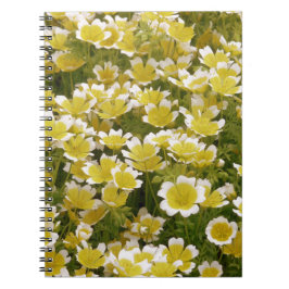 Caderno Espiral Flores Brancas Sunny Douradas