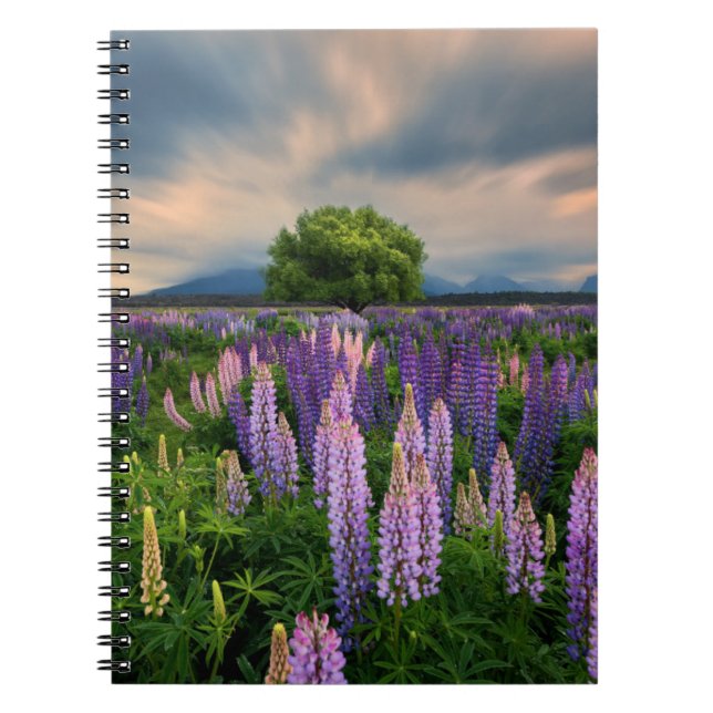 Caderno Espiral Flores | Campo de linha na Nova Zelândia (Frente)