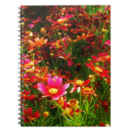 Caderno Espiral Flores cor-de-rosa-claro e amarelas Daisy Wild