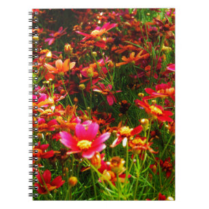 Caderno Espiral Flores cor-de-rosa-claro e amarelas Daisy Wild