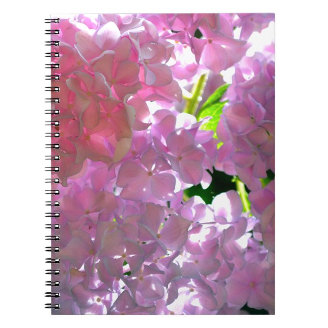 Caderno Espiral Flores cor-de-rosa Elegante flores hydrangeas (Frente)
