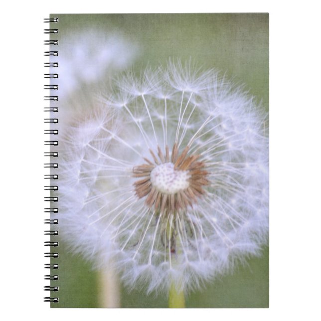 Caderno Espiral Flores Dandelion (Frente)
