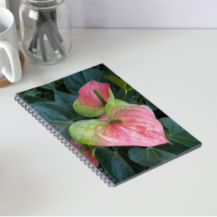 Caderno Espiral Flores de Anthurium Rosa Florais