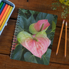 Caderno Espiral Flores de Anthurium Rosa Florais