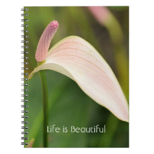 Caderno Espiral Flores de Anturio Rosa Kauai