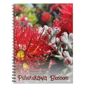 Caderno Espiral Flores de Árvore de Natal Vermelho da Nova Zelândi