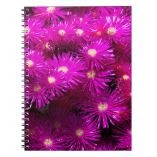 Caderno Espiral Flores de Aster Rosa