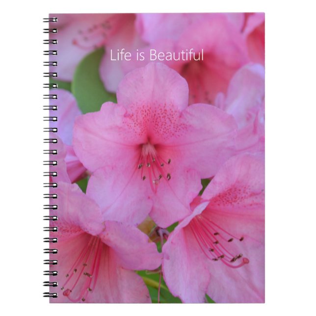 Caderno Espiral Flores de Azaléia Rosa (minha fotografia) (Frente)