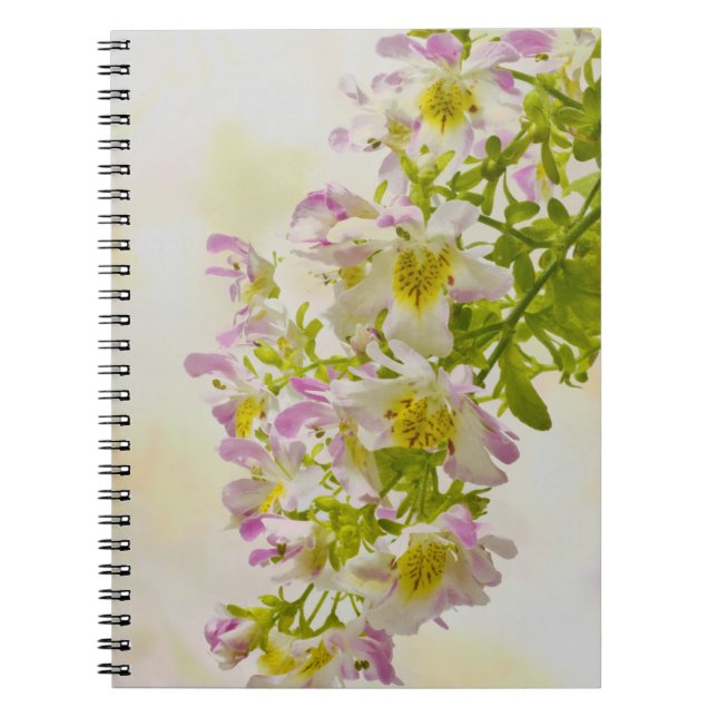 Caderno Espiral Flores de borboletas (Frente)