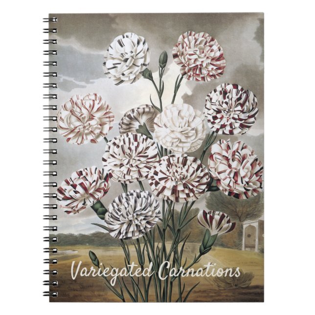 Caderno Espiral Flores de Cravos Variegados Vintage com Céu Cinza (Frente)