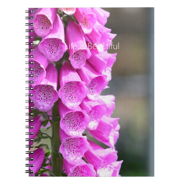 Caderno Espiral Flores de Dedaleira Rosa (minha fotografia) (Frente)