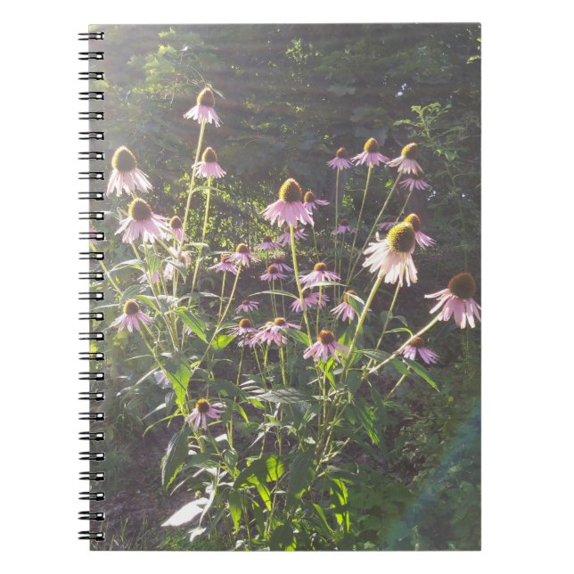 Caderno Espiral Flores de Echinacea ao Sol (Frente)