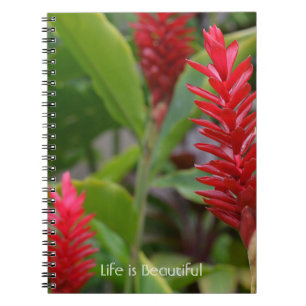 Caderno Espiral Flores de Gengibre Vermelho Kauai (minha fotografi