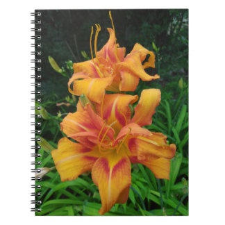 Caderno Espiral Flores de Hemerocallis laranja
