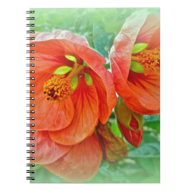 Caderno Espiral Flores de Hibisco Laranja (Frente)
