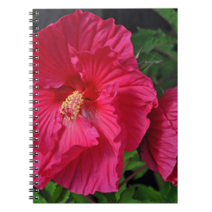 Caderno Espiral Flores de hibisco rosa
