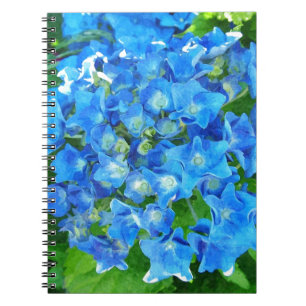 Caderno Espiral Flores de hydrangea azuis. Fotografia floral.