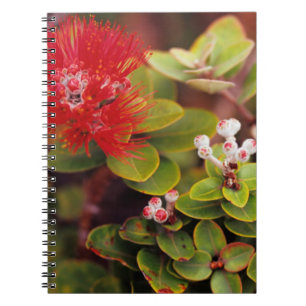 Caderno Espiral Flores de Lehua no Parque Nacional dos Vulcões do