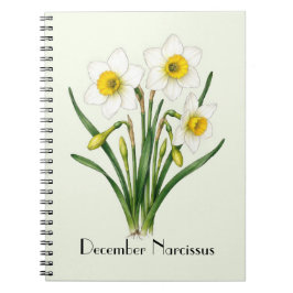Caderno Espiral Flores de Narciso de Dezembro