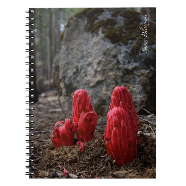 Caderno Espiral Flores de Neve (Frente)