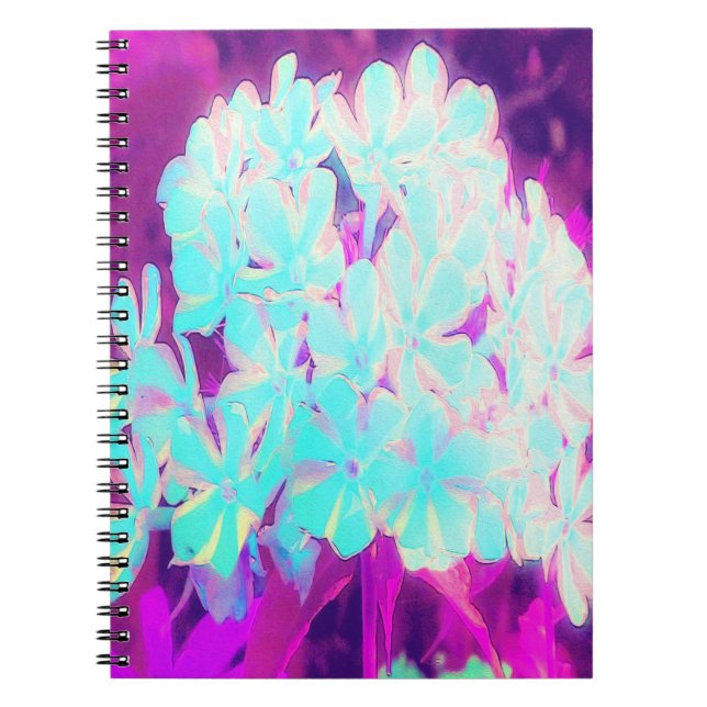 Caderno Espiral Flores de Phlox Azuis-Peppermint Twist de Robin (Frente)