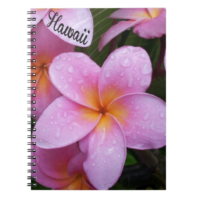 Caderno Espiral Flores de Plumeria Rosa Hawaii (Frente)