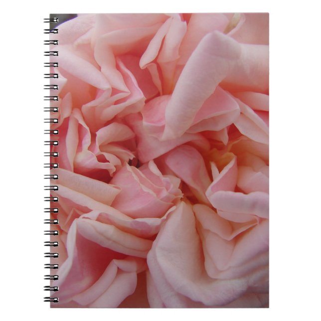 Caderno Espiral Flores de Rosa de Vintagem de Couve Rosa Esfregam  (Frente)