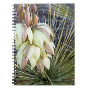 Caderno Espiral Flores de Soaptree Yucca no Upper Missouri