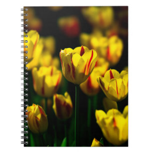 Caderno Espiral Flores de tulipas amarelas