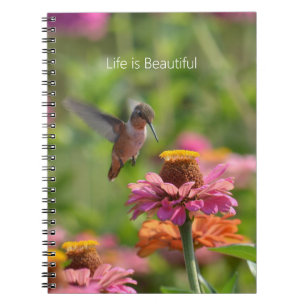 Caderno Espiral Flores de Zínia Beija-flor (minha fotografia)