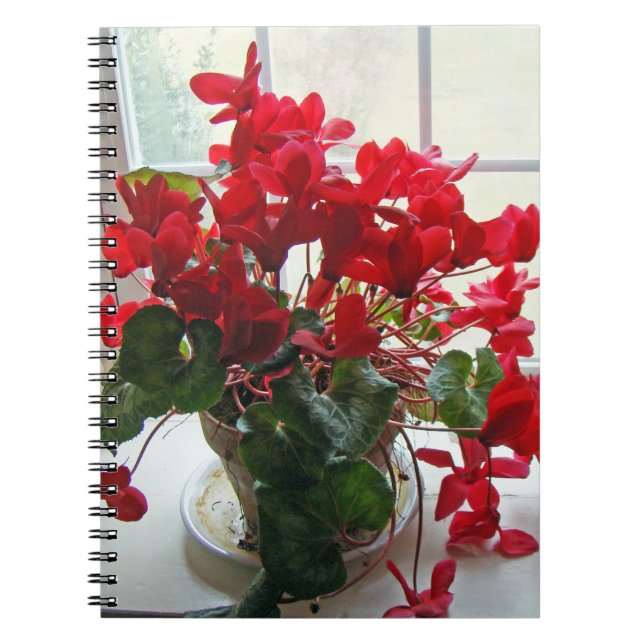 Caderno Espiral Flores do Ciclame Vermelho (Frente)