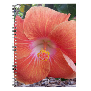 Caderno Espiral Flores do hibiscus de Havaí