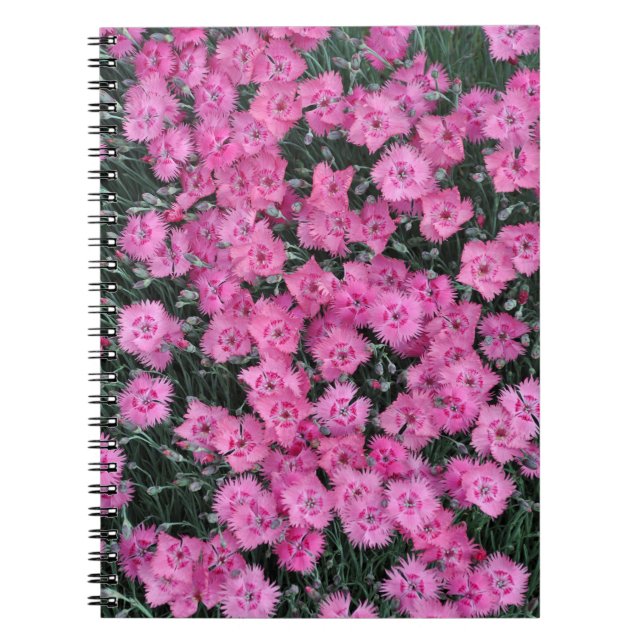 Caderno Espiral Flores finas e doces (Frente)