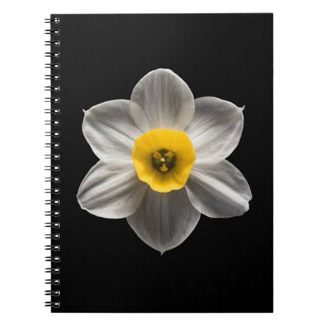 Caderno Espiral Flores | Flor Branca De Daffodilo (Frente)