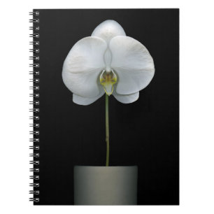 Caderno Espiral Flores   Flor Orquídea Branca